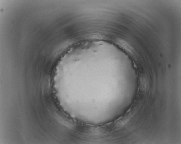 X0000062900302200601201918