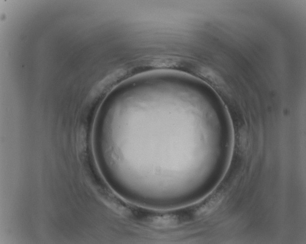 X0000062900303200601201918