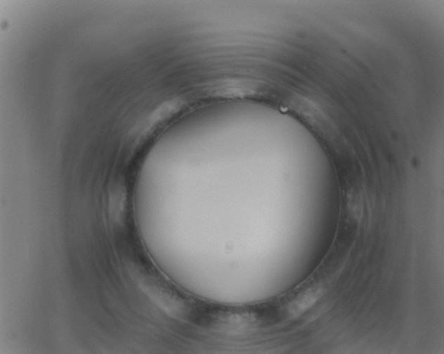 X0000062900304200601201918