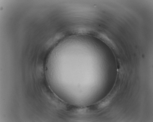 X0000062900306200601201918