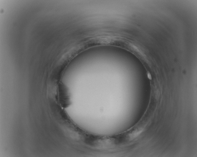 X0000062900307200601201918