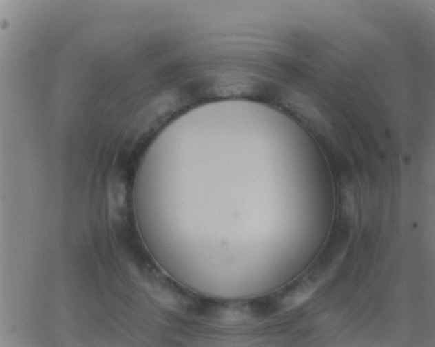 X0000062900308200601201918