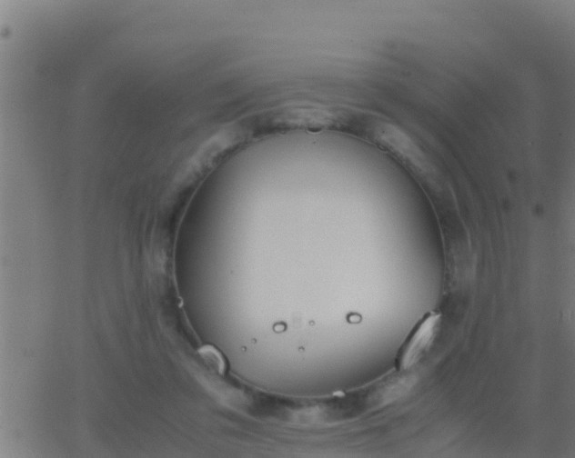 X0000062900309200601201918