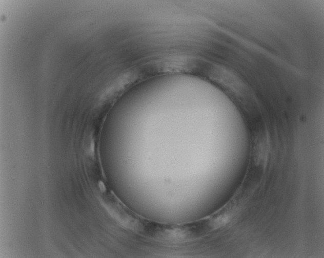 X0000062900310200601201918