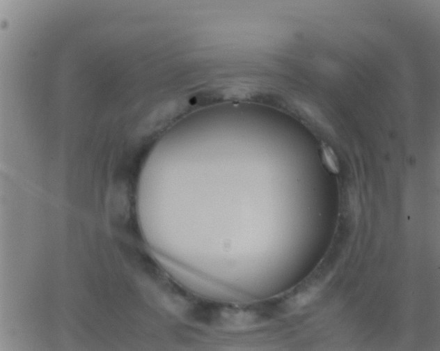 X0000062900311200601201918