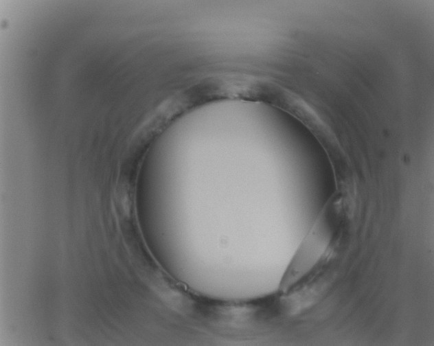 X0000062900313200601201918