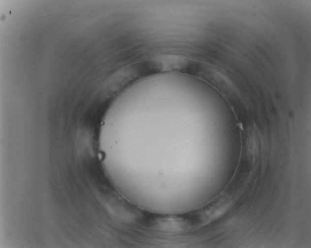 X0000062900316200601201917