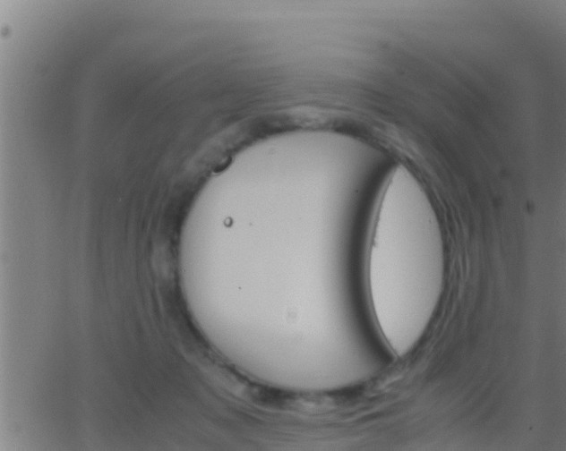 X0000062900317200601201917