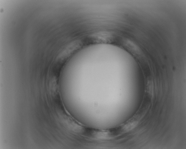 X0000062900318200601201917