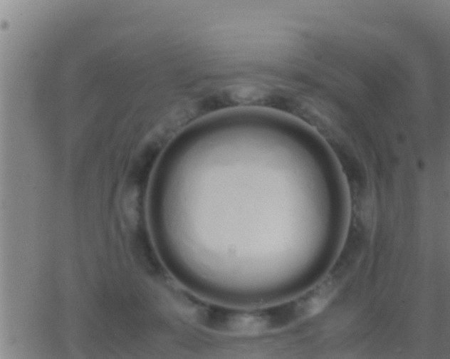 X0000062900319200601201917