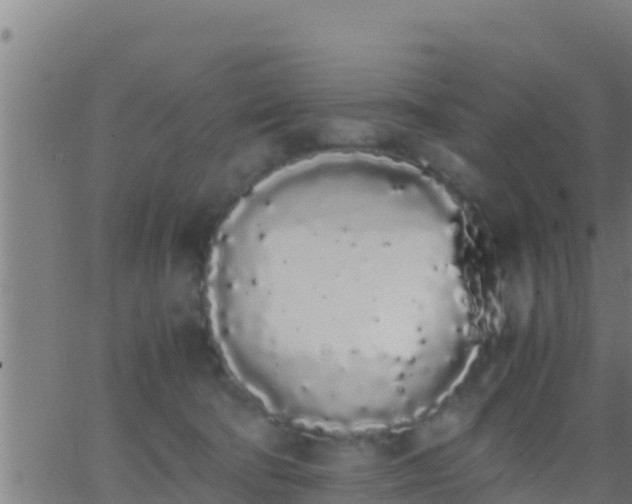 X0000062900322200601201917