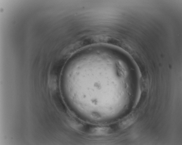 X0000062900323200601201917