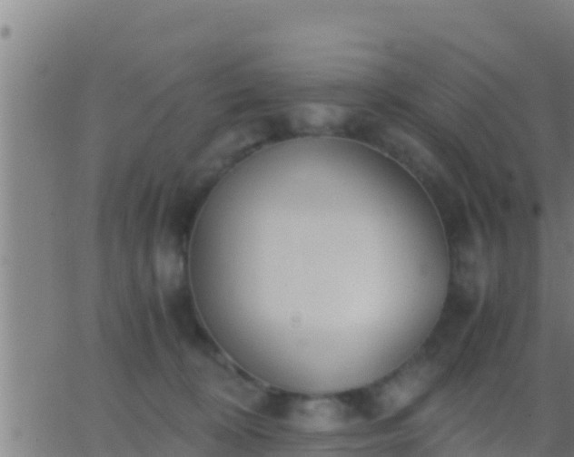 X0000062900324200601201917