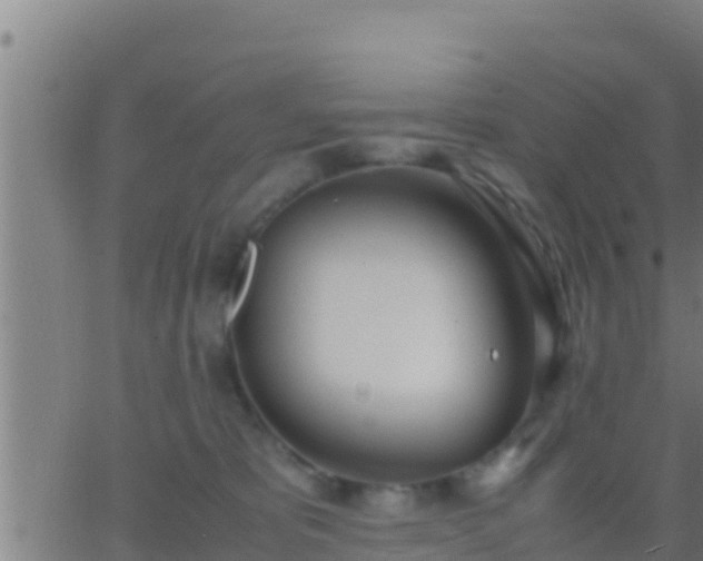 X0000062900325200601201917