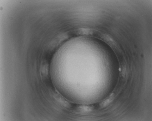 X0000062900326200601201917