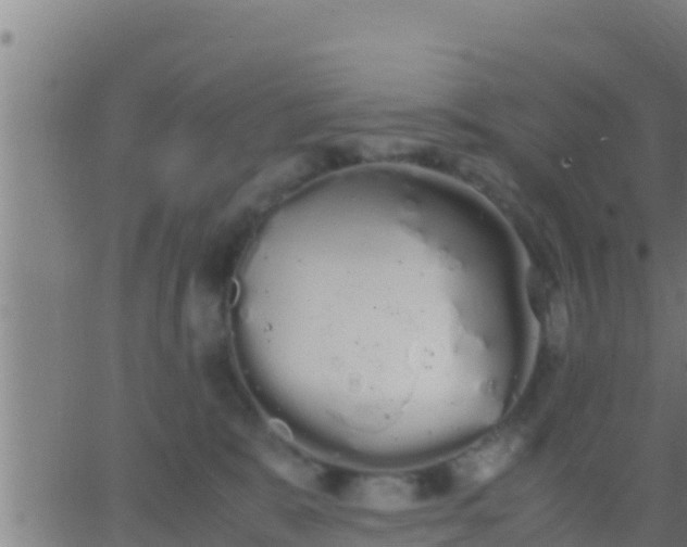 X0000062900327200601201917