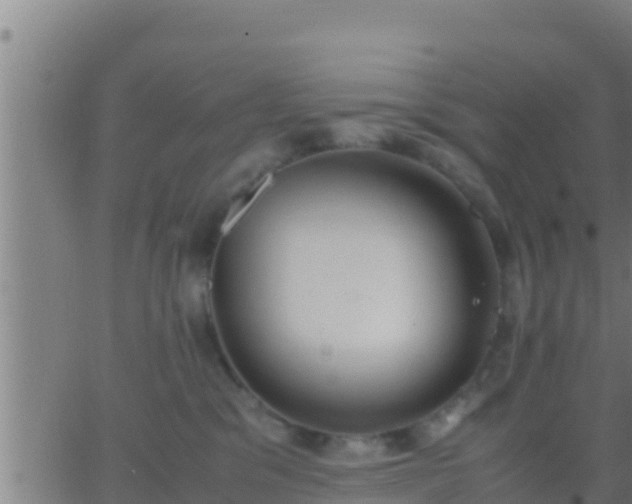 X0000062900329200601201917