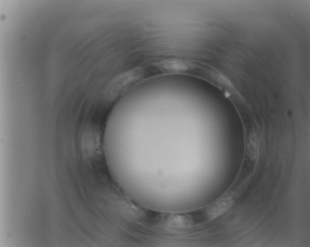 X0000062900330200601201917