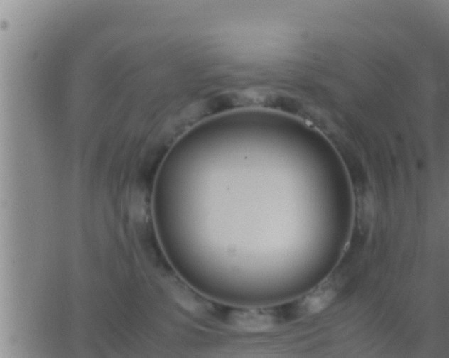 X0000062900331200601201917