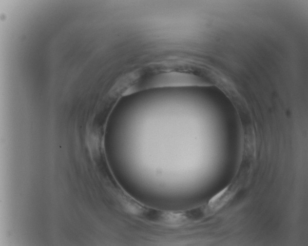 X0000062900333200601201917