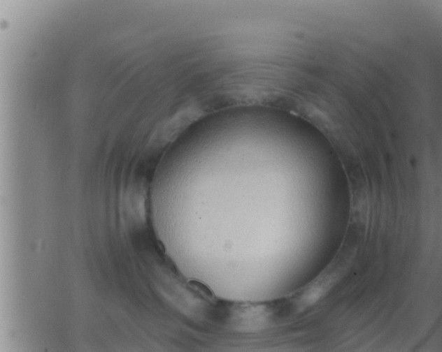 X0000062900334200601201917