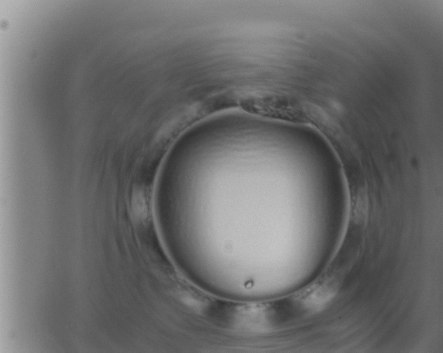 X0000062900335200601201917