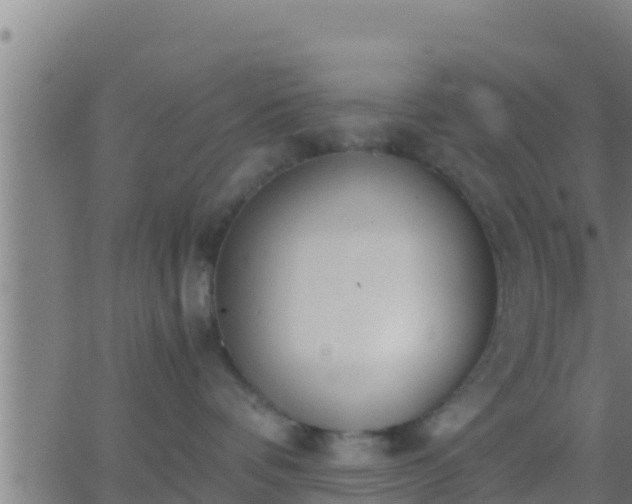 X0000062900336200601201917