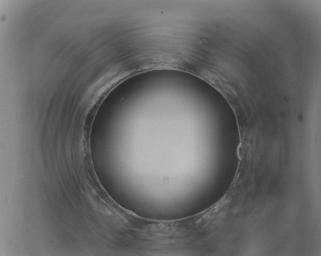 X0000062900338200601201916