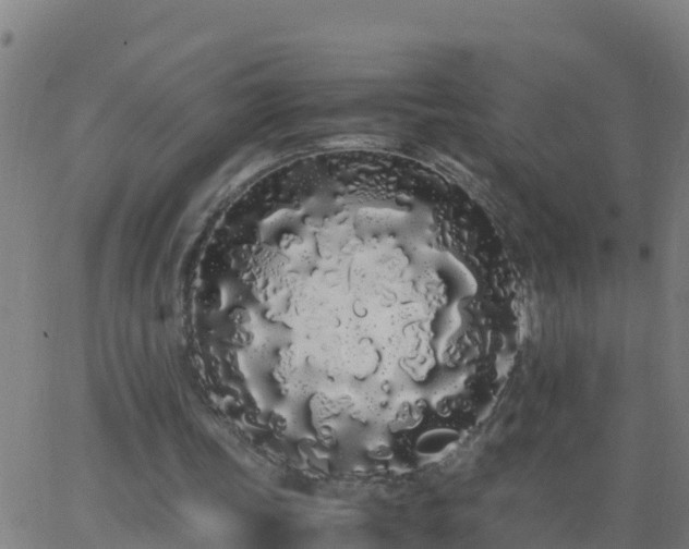 X0000062900339200601201916