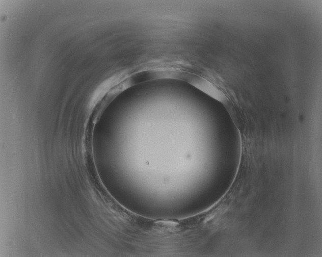 X0000062900340200601201916