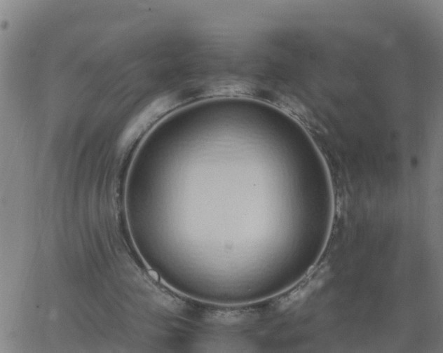 X0000062900341200601201916