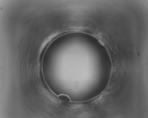 X0000062900342200601201916