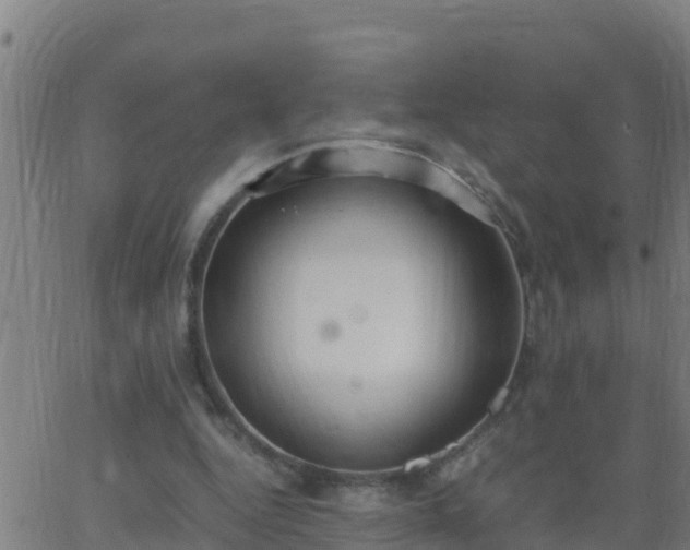 X0000062900344200601201916