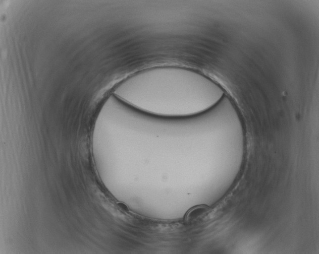 X0000062900345200601201916