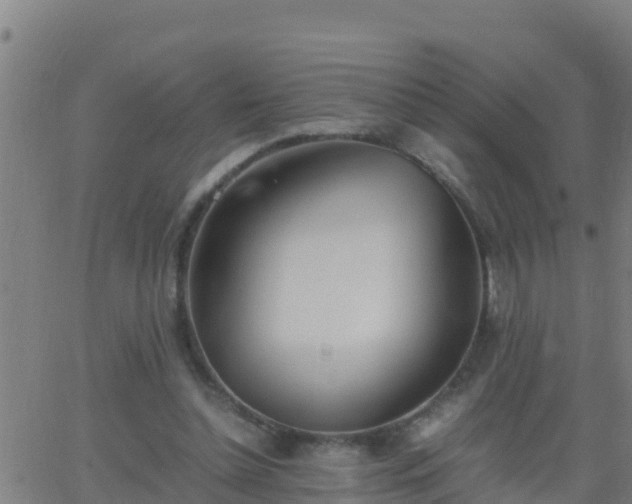 X0000062900348200601201917