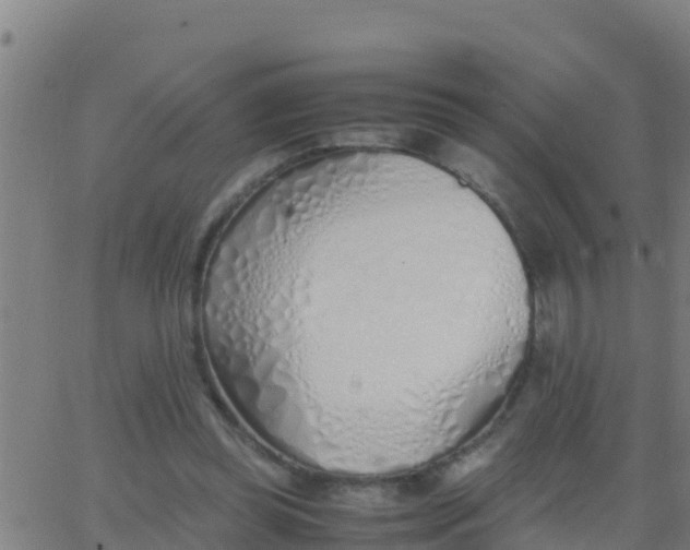 X0000062900349200601201917