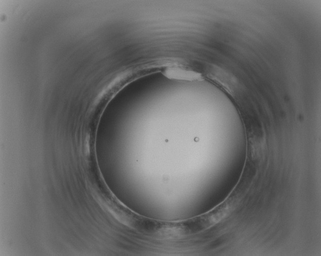 X0000062900350200601201917