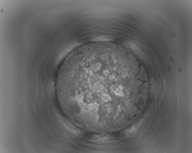 X0000062900351200601201917