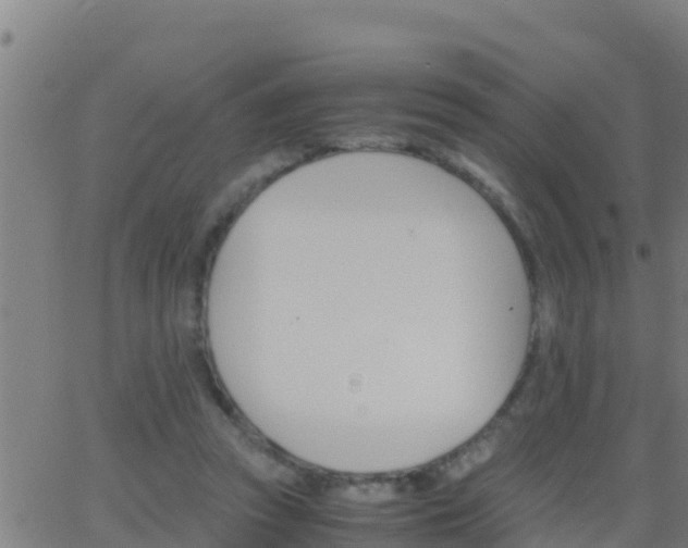 X0000062900353200601201917