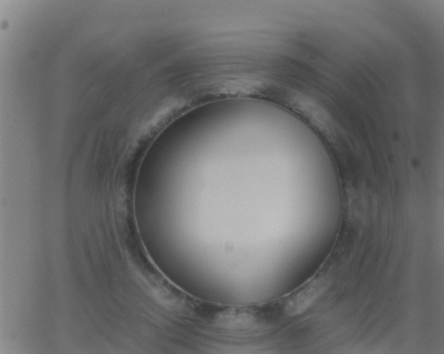 X0000062900354200601201917