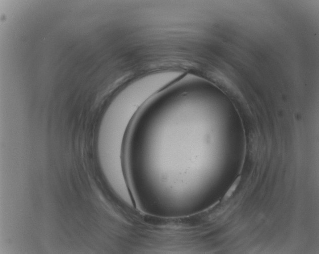 X0000062900356200601201917