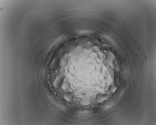 X0000062900357200601201917