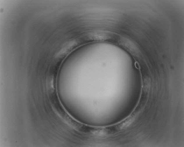 X0000062900358200601201917