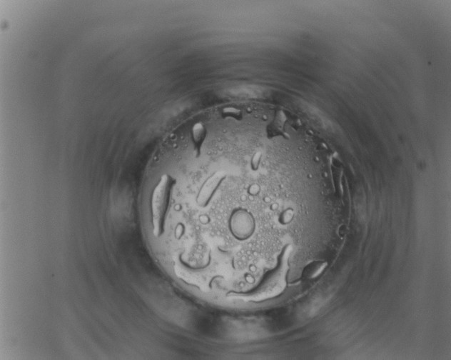 X0000062900359200601201917