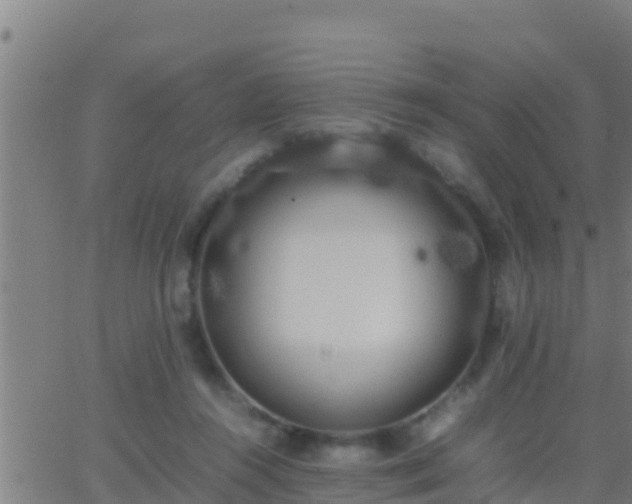 X0000062900360200601201917