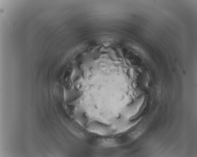 X0000062900361200601201917