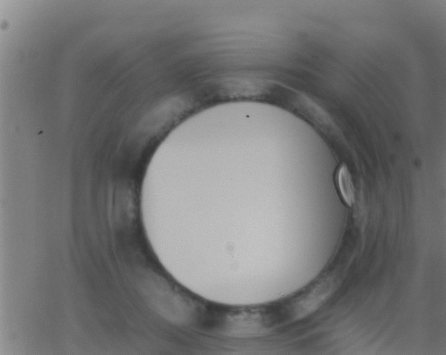 X0000062900362200601201917