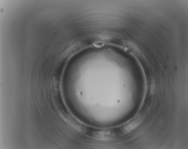 X0000062900366200601201917