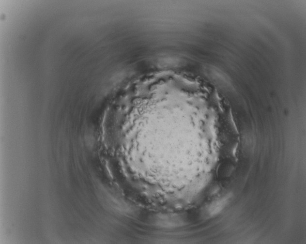 X0000062900367200601201917