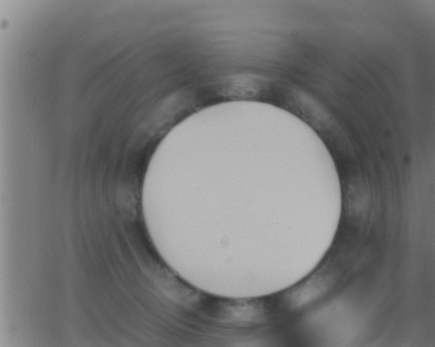 X0000062900370200601201917